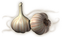 ajos